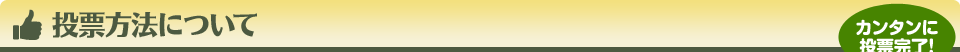 投票方法について