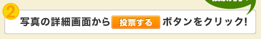2.写真の詳細画面から「投票する」ボタンをクリック!